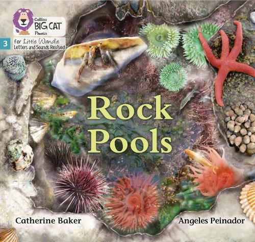 Rock Pools: Phase 3 Set 1 (Big Cat Phonics for Little Wandle Letters and Sounds Revised)