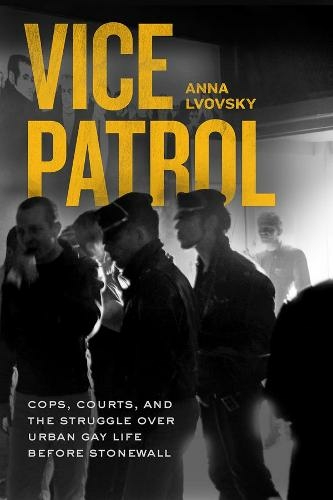 Vice Patrol: Cops, Courts, and the Struggle over Urban Gay Life before Stonewall