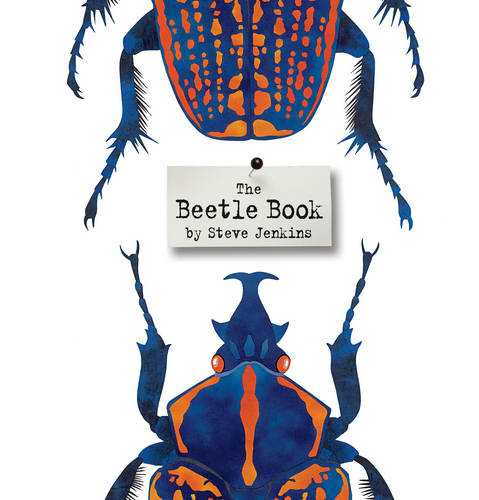 the shark book steve jenkins
