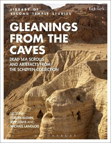 Gleanings from the Caves: Dead Sea Scrolls and Artefacts from the Schoyen Collection (The Library of Second Temple Studies)
