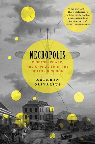 Necropolis: Disease, Power, and Capitalism in the Cotton Kingdom