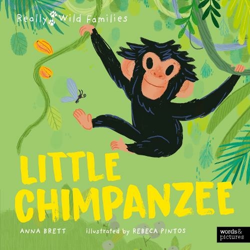 Little Chimpanzee: A Day in the Life of a Baby Chimp (Really Wild Families)