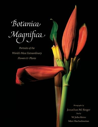 Botanica Magnifica: Portraits of the World's Most Extraordinary Flowers and Plants: (Tiny Folio)