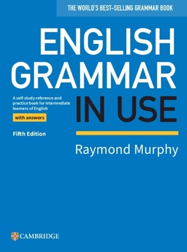 essential grammar in use 5th edition