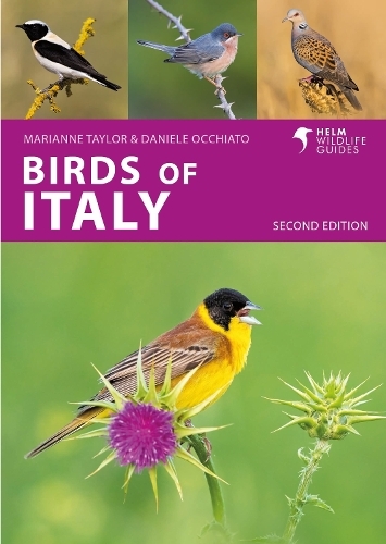 Birds of Italy: (Helm Wildlife Guides 2nd edition)