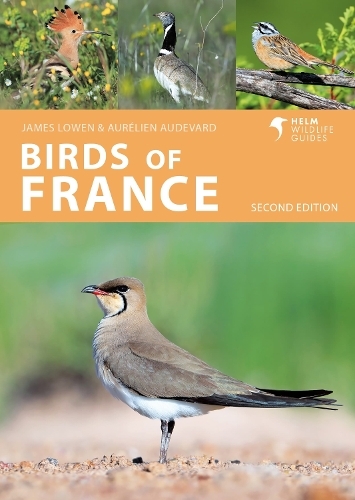 Birds of France: (Helm Wildlife Guides 2nd edition)