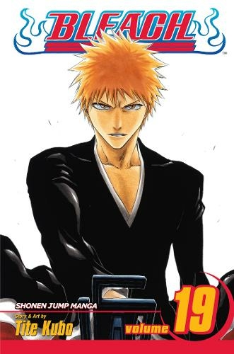 Bleach, Vol. 19: (Bleach 19)