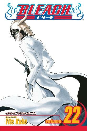 Bleach, Vol. 22: (Bleach 22)
