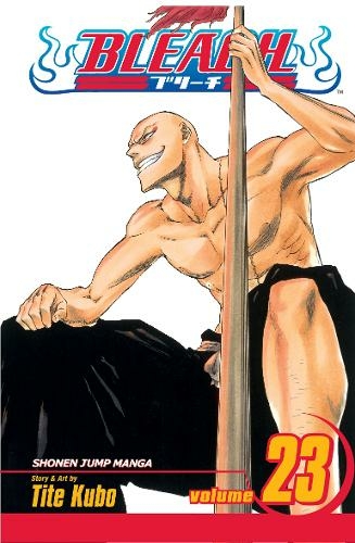 Bleach, Vol. 23: (Bleach 23)
