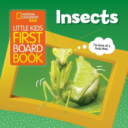 Little Kids First Board Book Insects: (National Geographic Kids)