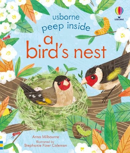 Peep Inside a Bird's Nest: (Peep Inside)
