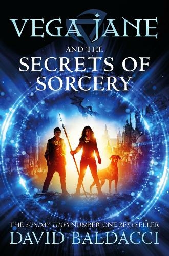 Vega Jane and the Secrets of Sorcery: (Vega Jane)