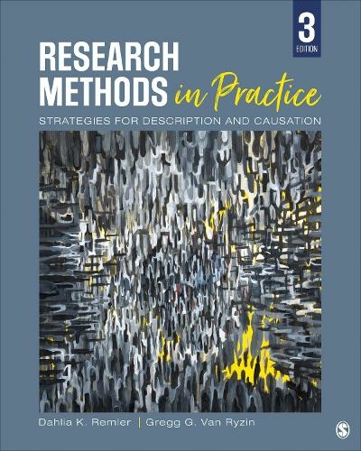 Research Methods in Practice: Strategies for Description and Causation (3rd Revised edition)