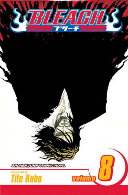 Bleach, Vol. 8: (Bleach 8)