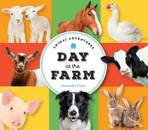 Animal Adventures: Day at the Farm: (Animal Adventures)