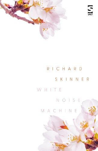 White Noise Machine: (Salt Modern Poets)