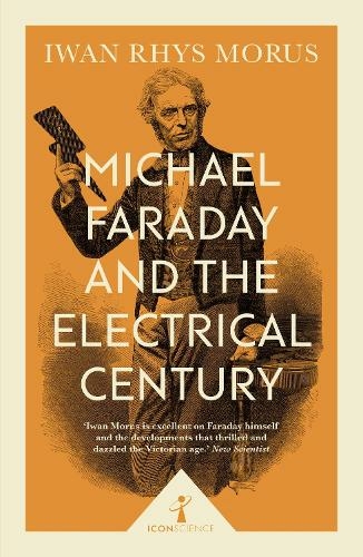 Michael Faraday and the Electrical Century (Icon Science): (Icon Science)