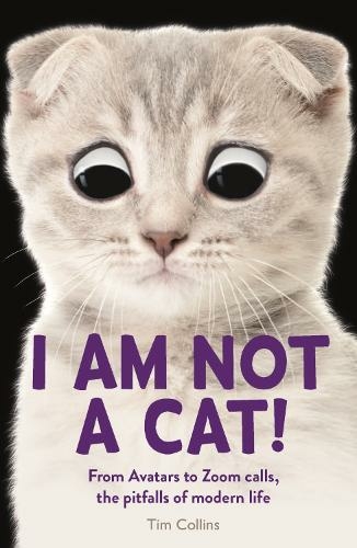 I Am Not A Cat From Avatars To Zoom Calls The Pitfalls Of Modern Life By Tim Collins Whsmith