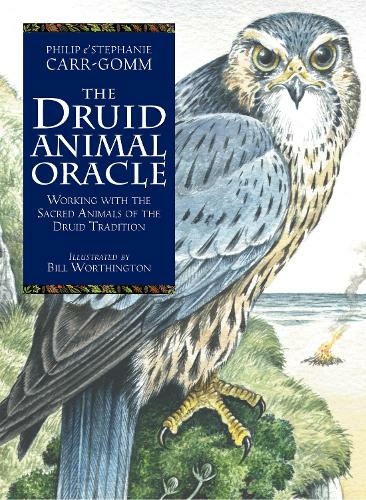 The Druid Animal Oracle: (Reissue)
