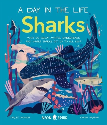Sharks (A Day in the Life): What Do Great Whites, Hammerheads, and Whale Sharks Get Up To All Day? (A Day in the Life)