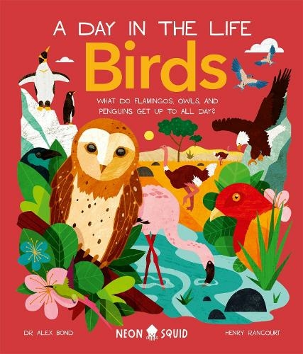 Birds (A Day in the Life): What Do Flamingos, Owls, and Penguins Get Up To All Day? (A Day In The Life)