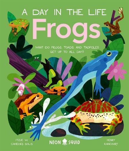 Frogs (A Day in the Life): What Do Frogs, Toads, and Tadpoles Get Up to All Day? (A Day In The Life)