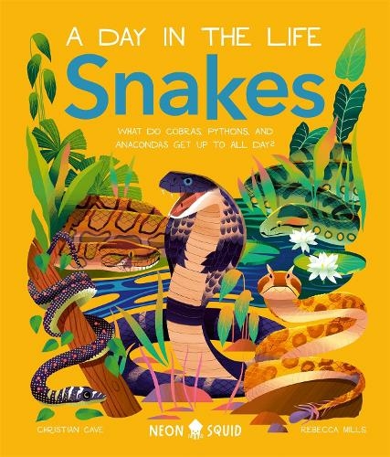 Snakes (A Day in the Life): What Do Cobras, Pythons, and Anacondas Get Up to All Day? (A Day in the Life)