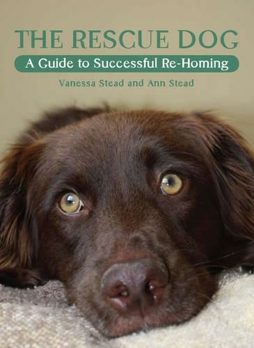 The Rescue Dog: A Guide to Successful Re-homing