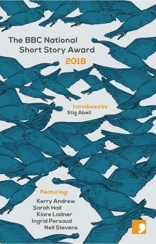 The BBC National Short Story Award 2018: (BBC National Short Story Award 13)