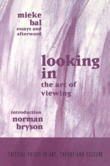 Looking In: The Art of Viewing (Critical Voices in Art, Theory and Culture)