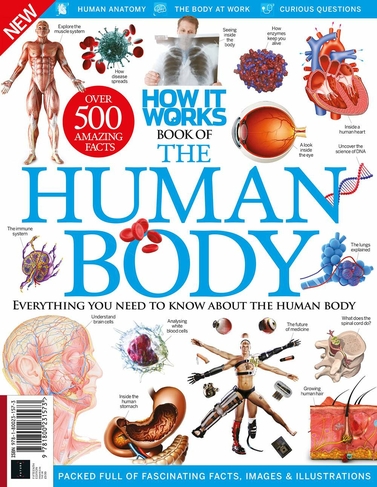 Future Publishing How It Works Book Of The Human Body 7th Edition Special Issue