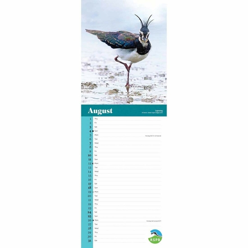 RSPB Household Planner Wall Calendar 2024