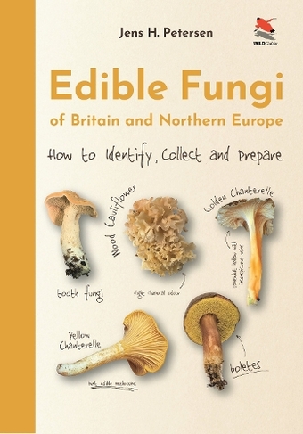 Edible Fungi of Britain and Northern Europe: How to Identify