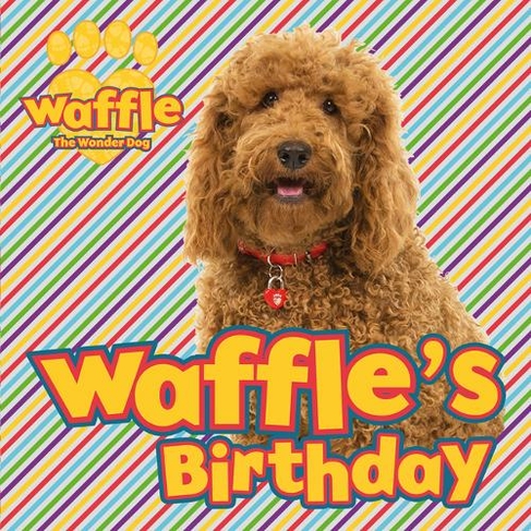 waffle the wonder dog toy