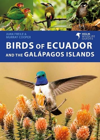 Birds of Ecuador and the Galapagos Islands: (Helm Wildlife Guides) by ...