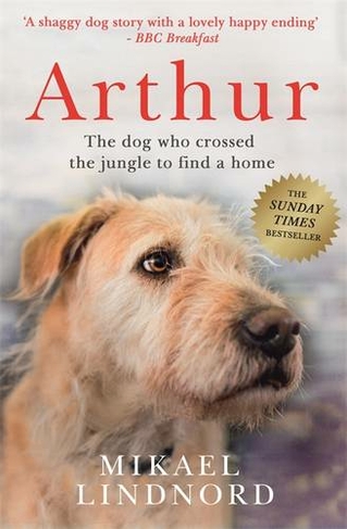 Arthur The Dog Who Crossed The Jungle To Find A Home Soon To Be