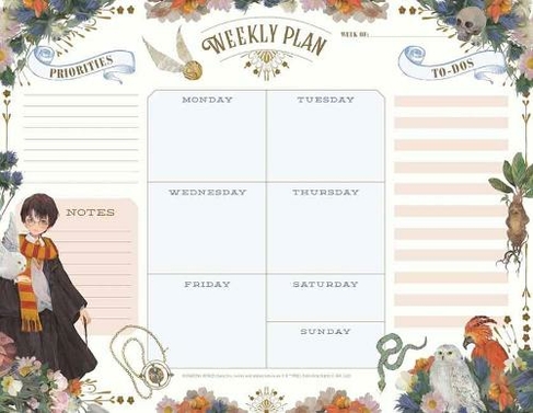 Planner: Anime & Chill 2 Year Weekly Planning Organizer - 2020 - 2021 -  Japanese Animation Media Cover - January 20 - December 21 - Writing  Notebook - Productive Datebook Calendar Schedule - Plan Days (Paperback) -  Walmart.com