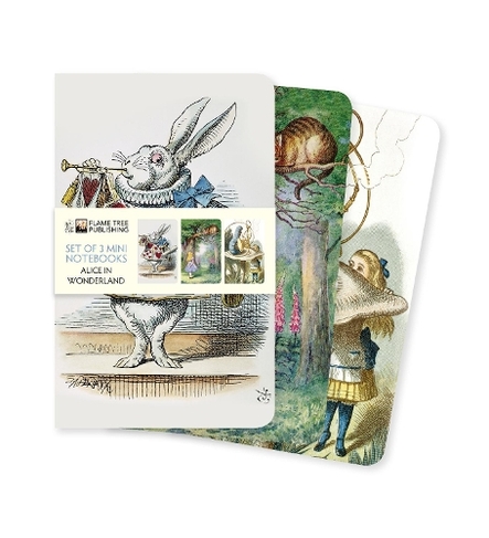 Alice in Wonderland Set of 3 Mini Notebooks: (Mini Notebook