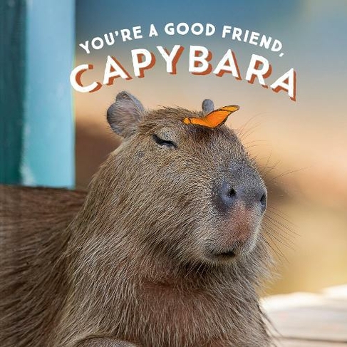 Capybara say you Capybara oh yeah  Capybara Say you Sayings