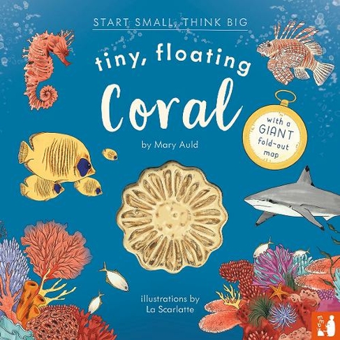 Tiny Floating Coral A Fact Filled Picture Book About The Life Cycle