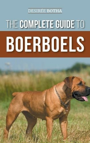 Buy store boerboel puppy