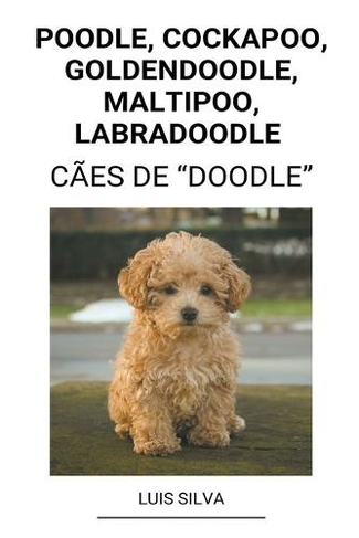 Goldendoodle cockapoo store