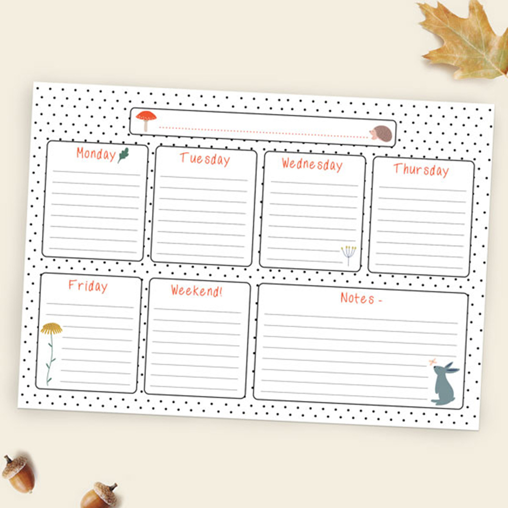 Rainforest homework menu picture